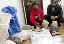 पार्षद के संरक्षण में गांजा तस्करी का चल रहा था खेल, पुलिस ने 19 किलो गांजा समेत दो तस्करों को दबोचा