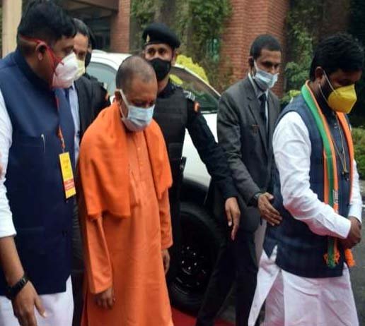 yogi