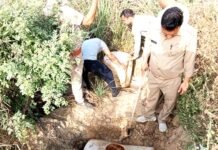 आबकारी विभाग ने शराब माफिया को फिर पहुंचाई चोट