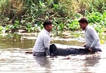 हिंडन खादर क्षेत्र में आबकारी विभाग ने शराब तस्करों को फिर दौड़ाया