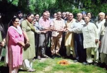 वैशाली दीन दयाल उपाध्याय पार्क हुआ हाई मास्क लाइट से रौशन