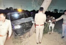 गाजियाबाद में गौ तस्करों पर पुलिस का प्रहार, मुठभेड़ में गोली लगने से तीन गौ-तस्कर घायल, सिपाही के हाथ में लगी गोली