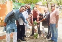 भाजपा पार्षद ने मुख्यमंत्री योगी आदित्यनाथ के जन्मदिन पर रोपित किए पौधे