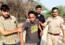 महिन्द्रा पिकअप में गो तस्करी के लिए ले जा रहे थे पशु, मुठभेड़ में घायल