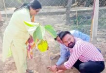 जीवनदायिनी पेड़-पौधे जीवन के लिए संजीवनी: मेयर