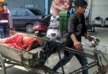गाजियाबाद में ठेले पर स्वास्थ्य विभाग, ठेले पर मरीज का सरकारी डॉक्टरों ने किया इलाज, स्वास्थ्य विभाग की चारों ओर हो रही है थू-थू