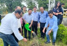 पौधरोपण अभियान में आईआईए ने रोपित किए 500 पौधे