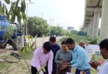 ग्रेनो प्राधिकरण ने दो दिन में 28 जगहों पर लगाए 1.02 लाख पौधे