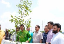 वृहद पौधरोपण अभियान: ग्रेनो प्राधिकरण ने तीन दिन में रोपित किए 1.11 लाख पौधे