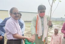 पर्यावरण संतुलित करने में पेड़-पौधों की अहम भूमिका: धीरेंद्र सिंह