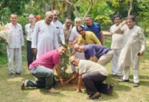 प्रदूषण रोकने में पेड़-पौधे निभाते है अहम भूमिका: मनोज गोयल