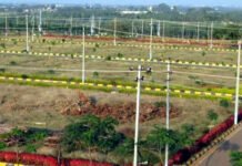 यमुना प्राधिकरण क्षेत्र में किसानों की बल्ले-बल्ले : समस्याओं को प्राथमिकता के आधार पर सुलझा रहे हैं सीईओ डॉ अरुणवीर सिंह