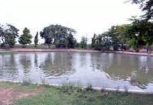 गौतमबुद्ध नगर में जिला पंचायत के प्रयास से बदल रही तालाबों की सूरत