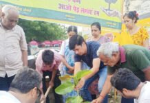 शहर को हरा-भरा और खूबसूरत बनाने की मुहिम को सार्थक कर रहा निगम