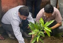 रायबरेली के मुख्य चिकित्सा अधिकारी कार्यालय में किया गया वृक्षारोपण