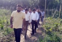 मियावाकी पद्धति से लगे पौधों की निगम कर रहा देखभाल, नगर आयुक्त ने लिया जायजा