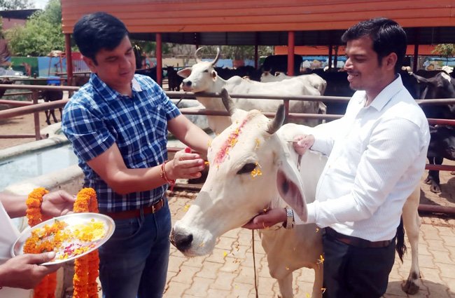Nigam-Nandi-park-Janmasthmi (2)