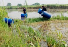 कच्ची शराब से महका रहे थे खादर क्षेत्र, सुलगती शराब भट्टी हुई ध्वस्त