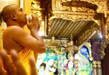 हाथी घोड़ा पालकी, जय कन्हैया लाल की से गूंजा महानगर