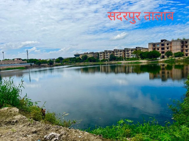 pond