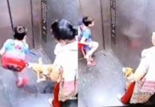गाजियाबाद में कुत्ता मालकिन के खिलाफ मुकदमा दर्ज जाएंगी जेल