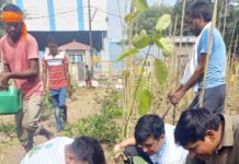 लंगस् ऑफ गाजियाबाद: प्रदूषण कम करने के लिए नगर आयुक्त ने रोपित किया पौध