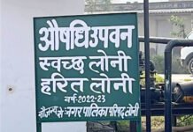 नगर सुशोभन अभियान से संवर रही लोनी
