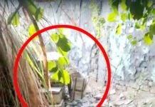पुलिस से बचने के लिए शाहबाजपुर की झाडिय़ों में छिपाई शराब