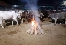 ठंड के कहर से बेसहारों को बचाने की नगर निगम की खास मुहिम