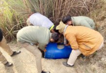 शराब धंधेखोरों की भट्टी पर चला आबकारी विभाग का डंडा
