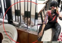 गाजियाबाद की कोर्ट में घुसा तेंदुआ, अधिवक्ता एवं जूता पॉलिश वाले को किया घायल