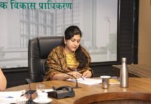 शिकायतों को निपटाएं, फालतू की समितियों में न उलझाएं : सीईओ