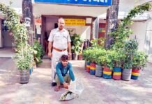 ढाबा मालिक की चतुरई, दिन में ग्राहकों को खाना और रात में बेचता था शराब