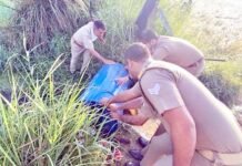 खादर के जंगलों में अवैध शराब का खेल, आबकारी अमले ने दी दबिश