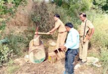 चुनाव में कहर बरपाने के लिए सुलगा रहे थे शराब की भट्टी