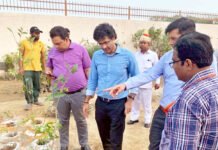 शहर की गंदगी को दूर कर निगम ने हरियाली की ओर बढ़ाया कदम