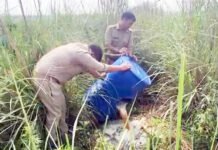 निकाय चुनाव को लेकर आबकारी विभाग ने खादर में मारा छापा