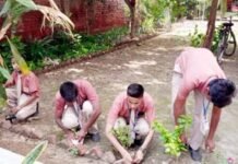 गौतम पब्लिक सीनियर सेकेंडरी स्कूल में मनाया गया पर्यावरण दिवस