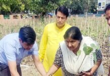 प्रदूषण रहित एवं ऑक्सीजन के लिए वृहद वृक्षारोपण जरूरी: महापौर