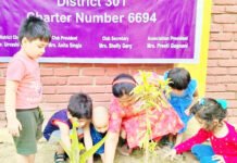 प्रकृति के अनमोल उपहार हैं हरे-भरे वृक्ष: अनीता सिंगला