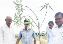 वन महोत्सव: मधुबन-बापूधाम में रोपित किए 3 हजार से अधिक पौधे