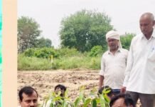 पौधारोपण महाअभियान में जीडीए ने रोपित किए पौधे