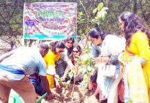 रोटरी क्लब ऑफ गाजियाबाद सफायर ने डाक्टर्स डे पर पौधे लगाकर पर्यावरण संरक्षण का लिया संकल्प