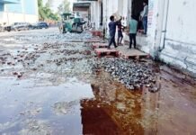 13 करोड़ की महंगी शराब पर चला आबकारी विभाग का रोड रोलर