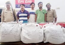 उड़ीसा से गांजा लेकर दिल्ली, गाजियाबाद में करते थे तस्करी, क्राइम ब्रांच की टीम ने दबोचा