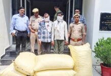 गाजियाबाद में तस्करी के लिए उड़ीसा से नमक की बोरी में लेकर आ रहा था 1 करोड़ का गांजा, क्राइम ब्रांच ने दबोचा