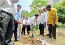 शहर की सुंदरता और स्वच्छता को बनाए रखने के लिए पौधे रोपित करना बेहद जरूरी: नगर आयुक्त
