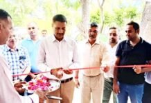 जिलाधिकारी ने पंचायत घर इंद्रगढ़ी से किया आईएमआई-5.0 का शुभारंभ