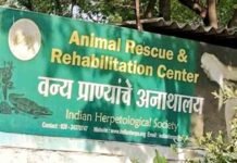 यमुना प्राधिकरण करेगा एनिमल रेस्क्यू एंड रिहैबिलिटेशन सेंटर का निर्माण 10 हेक्टेयर क्षेत्रफल में लगभग साढ़े 5 करोड़ रुपये की लागत से बनेगा सेंटर, ग्रामीणों को बनाया जाएगा सारस मित्र