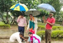 वृक्ष पर्यावरण की रक्षा के लिए बहुत जरूरी: डॉ. अनुज कुमार सिंह